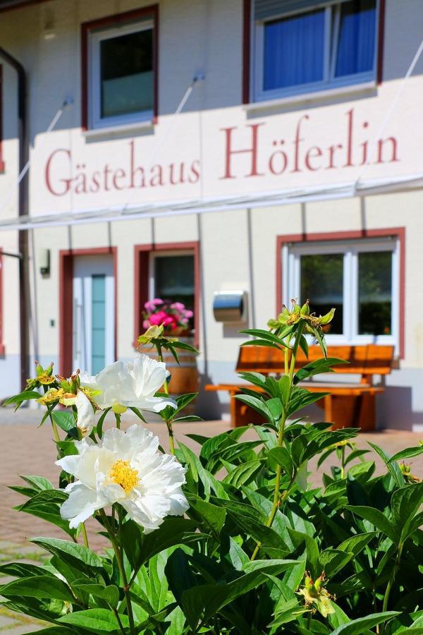 Gaestehaus Hoeferlin 바드벨링겐 외부 사진